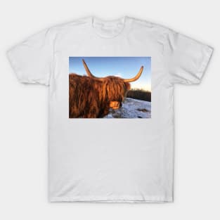 Scottish Highland Cattle Cow 2234 T-Shirt